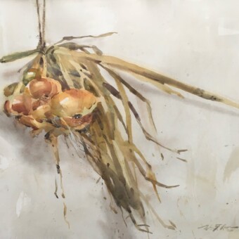 Dad's Onions, Watercolor, 21 x 29 inches