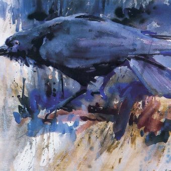 Camp Robber, Watercolor, 21 x 29 inches