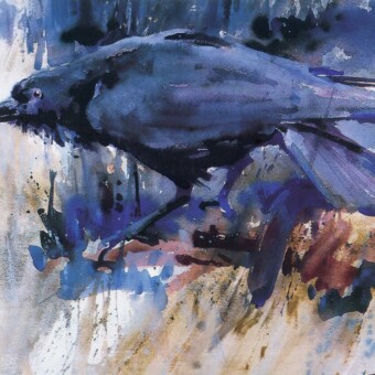 Camp Robber, Watercolor, 21 x 29 inches