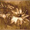 Daisies Mimi