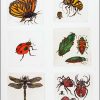 Summer Visitors I