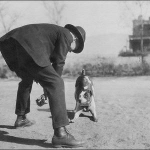 Kenneth and Queen Kenneth and English Pit Terrier